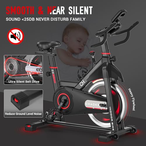 CHAOKE Indoor Exercise Bike with LCD Monitor