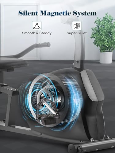 Sturdy Recumbent Exercise Bike with iPad Holder