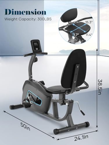 Sturdy Recumbent Exercise Bike with iPad Holder