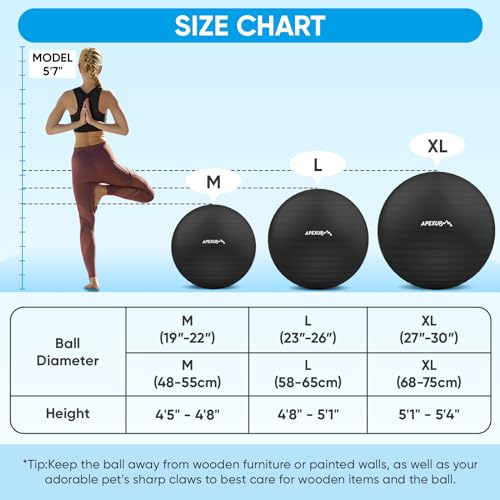 APEXUP Anti-Slip Yoga and Exercise Stability Ball