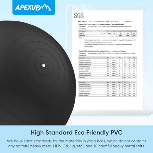 APEXUP Anti-Slip Yoga and Exercise Stability Ball