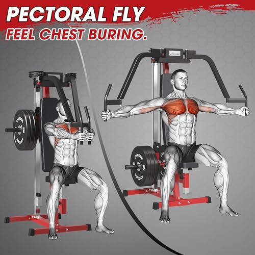 Syedee 350 lbs Chest Fly Upper Body Machine