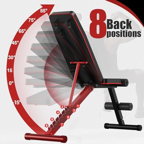 Adjustable Weight Bench for Full Body Workout at Home