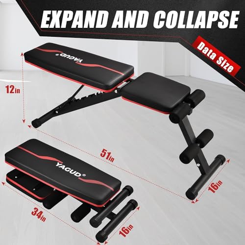Adjustable Weight Bench for Full Body Workout at Home