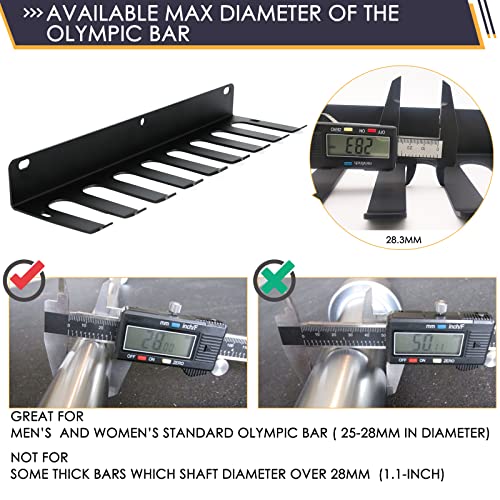 Aolamegs Heavy-Duty Home Gym Storage Rack: 9-Hook