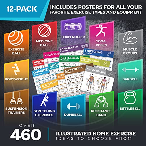 Large Workout Poster Set with 12 Charts & More