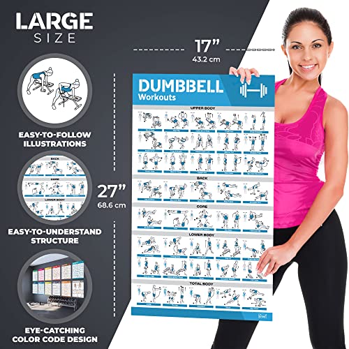 Large Workout Poster Set with 12 Charts & More