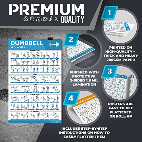 Large Workout Poster Set with 12 Charts & More