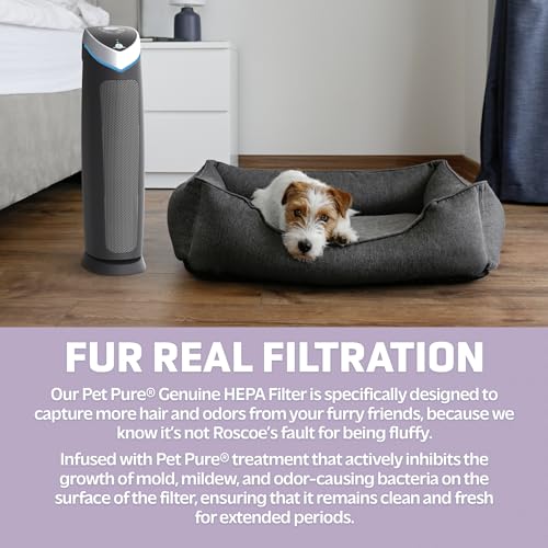 GermGuardian Air Purifier with HEPA Pet Filter, Large Room