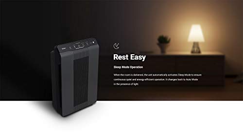 Winix 5500-2 True HEPA Air Purifier, Charcoal Gray