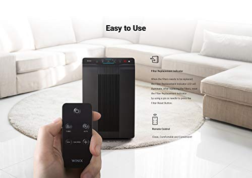 Winix 5500-2 True HEPA Air Purifier, Charcoal Gray