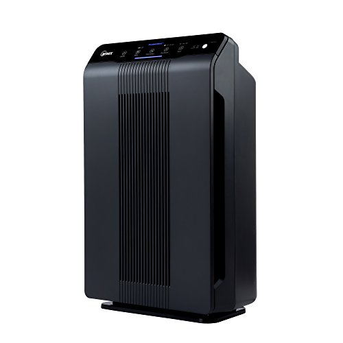 Winix 5500-2 True HEPA Air Purifier, Charcoal Gray