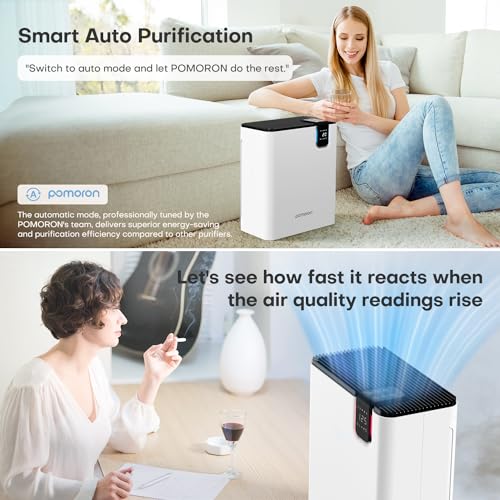 Large Room Air Purifier with UV Light & HEPA Filter