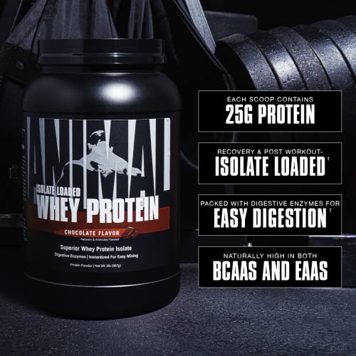 Vanilla Isolate Whey Protein Powder for Recovery