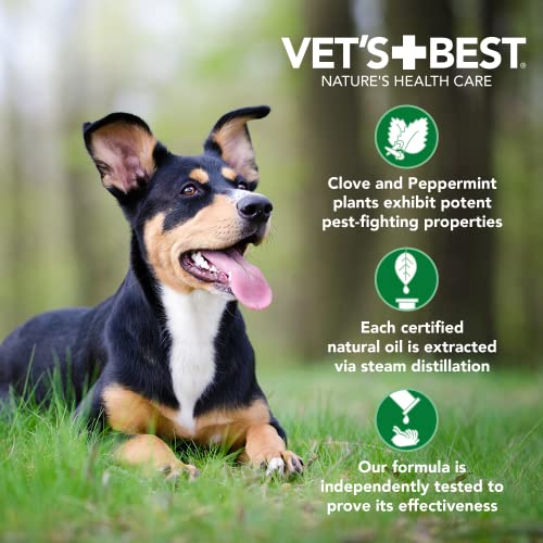 Plant-Based Flea & Tick Spray for Dogs
