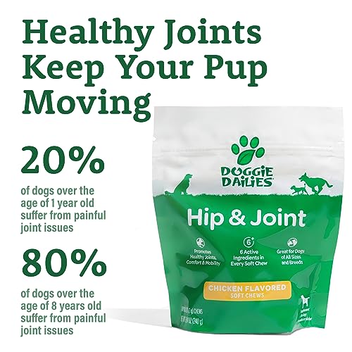 Premium Dog Joint Supplement with 120 Chews