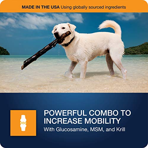 Hip & Joint Supplement for Dogs, Chicken Flavored