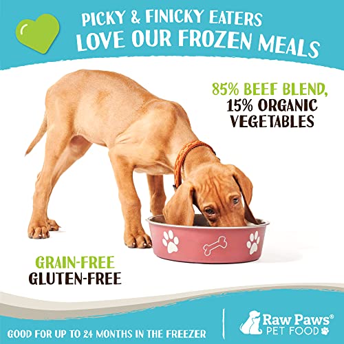 Raw Paws Pet Beef & Veggie Dog Food Rolls
