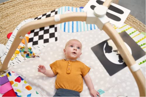 Lovevery Play Gym: Stage-Based Development for Baby