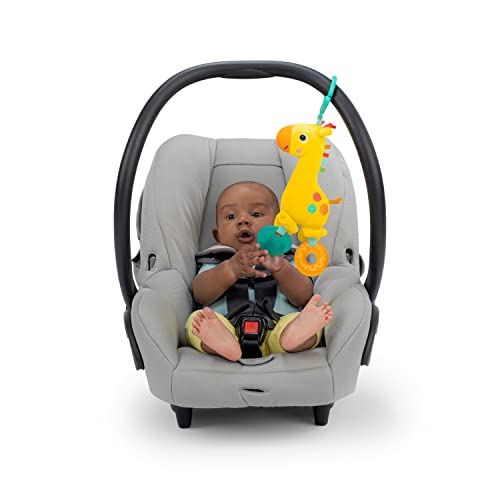 Safari Soother Rattle & Teether for On-The-Go