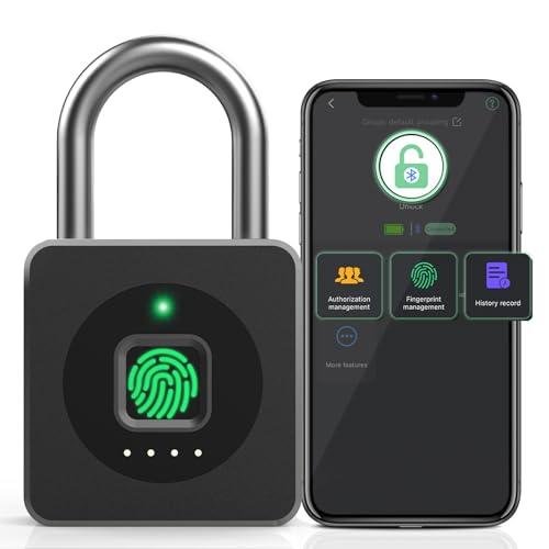 Smart Locks and Entry