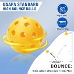 Westant Match Buddy Pickleball Trainer - Pickleball Practice Rebounder with 2 Balls, Pickleball Training Aids for Adults, Kids, Ideal Pickleball Gift for Women and All Pickleball Lovers