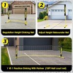 PICKLETECH Flex Version 4 ft Pickleball Practice Rebounder, Expandable to 10 ft for Double Player Practice - Outdoor Game - Fully Adjustable Regulation Height, Quick Setup
