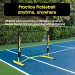 PICKLETECH Flex Version 4 ft Pickleball Practice Rebounder, Expandable to 10 ft for Double Player Practice - Outdoor Game - Fully Adjustable Regulation Height, Quick Setup