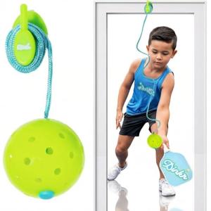 Dink’r - Pickleball Trainer, Pickleball Rebounder for Pickleball Training and Practice Sessions - Pickleball Game and Gift for All Ages - Perfect Pickleball Practice Equipment for Solo Training