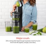 NutriBullet Slow Juicer, GrayClearBlackMulti-color, Model NBJ50300