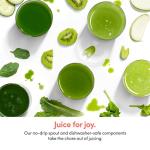 NutriBullet Slow Juicer, GrayClearBlackMulti-color, Model NBJ50300