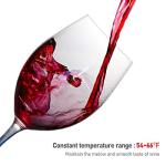 12 Bottle Wine Fridge with Digital Control