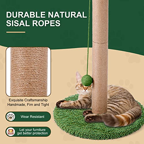33" Palm Tree Cat Scratcher with Dangling Balls