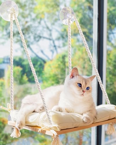 Solid Wood Cat Window Perch with Suction Cups