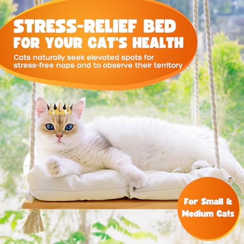 Solid Wood Cat Window Perch with Suction Cups