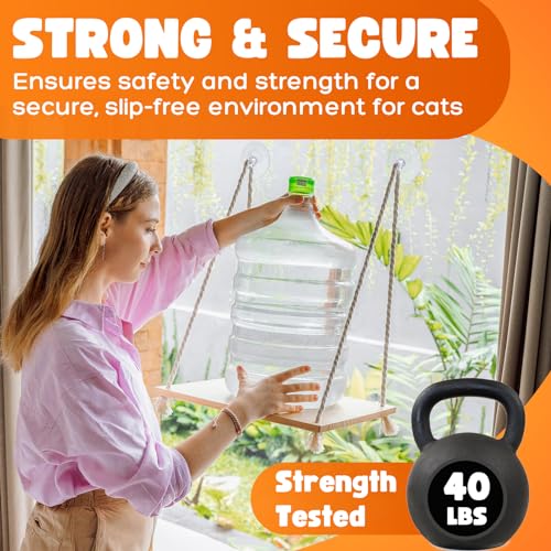 Solid Wood Cat Window Perch with Suction Cups