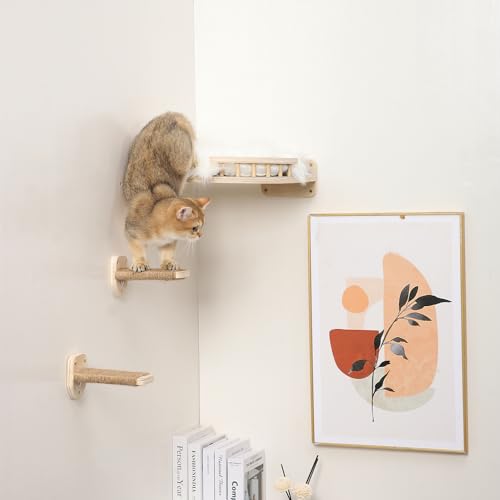 COOLEX Cat Wall Shelves with Steps and Hammock