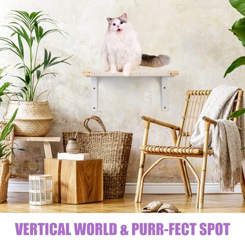 BEBOBLY Floating Cat Shelves for Indoor Cats