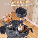 Large Cat Condo with Scratching Posts & Perches