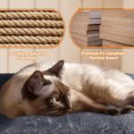 Large Cat Condo with Scratching Posts & Perches