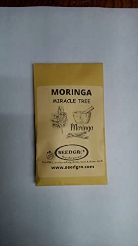 20 Non-GMO Organic Moringa Seeds for planting
