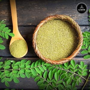 Organic Moringa Green Leaf Powder - 1lb
