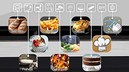 Whynter Grande Convection Steam Oven - Black Steel