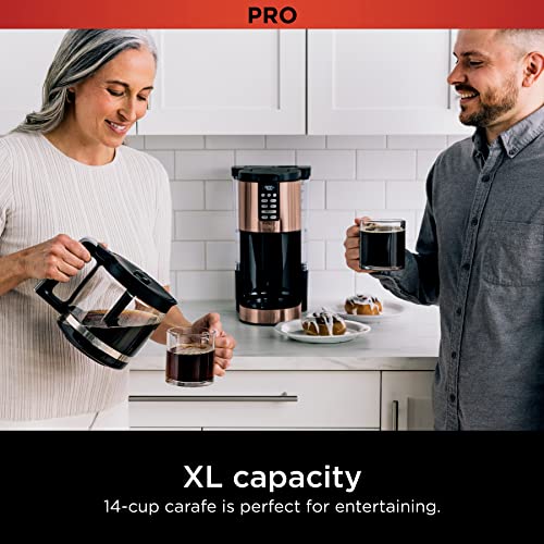 Ninja XL Programmable Coffee Maker with Timer, Copper
