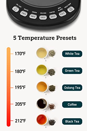 Gooseneck Electric Kettle with Temperature Control