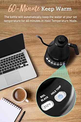 Gooseneck Electric Kettle with Temperature Control