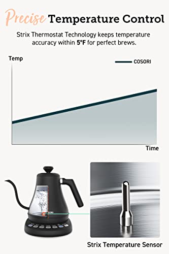 Gooseneck Electric Kettle with Temperature Control