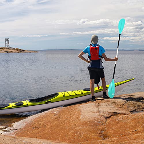 Karltion Kayak Paddle - Adjustable 2-Piece Mint Green