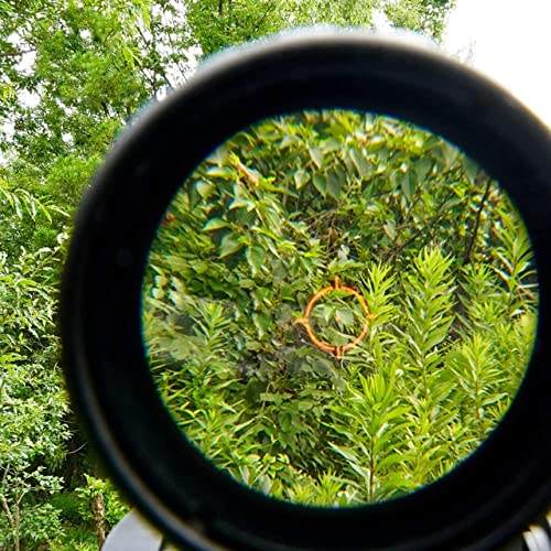Red Green Dot Holographic Sight with Magnifier Upgrade