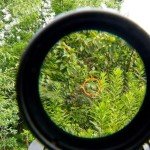 558+3X Quick Detach Green/Red Dot Sight